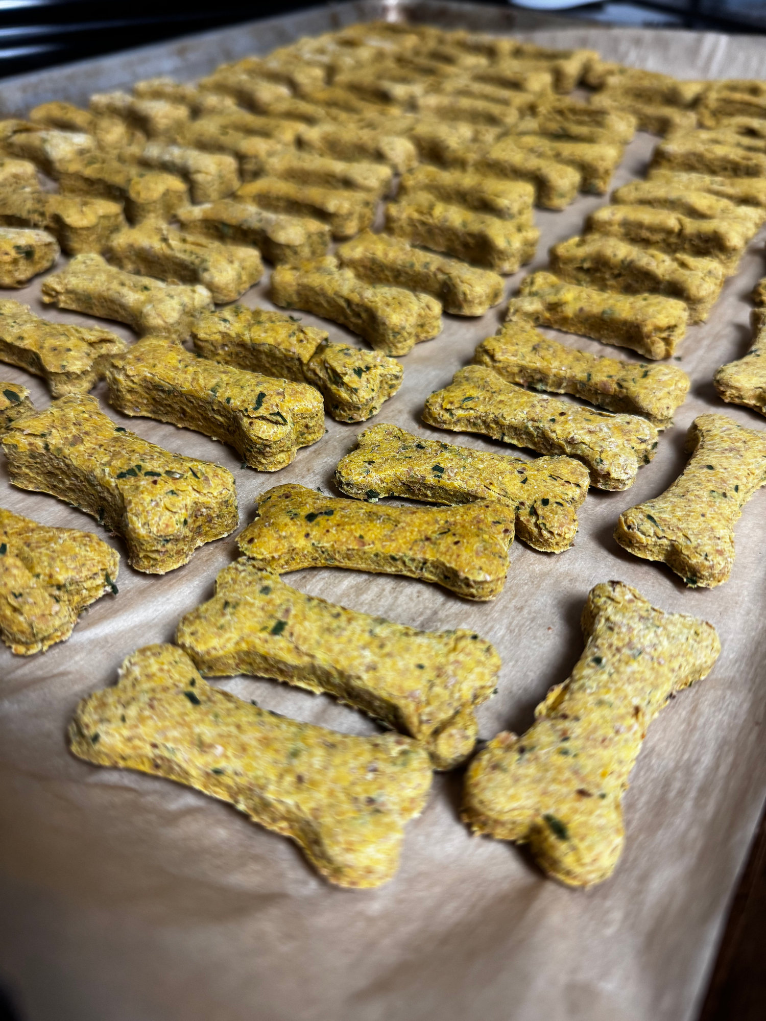 Trays of homemade pumpkin sourdough dog biscuits